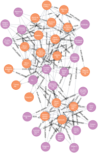 graph